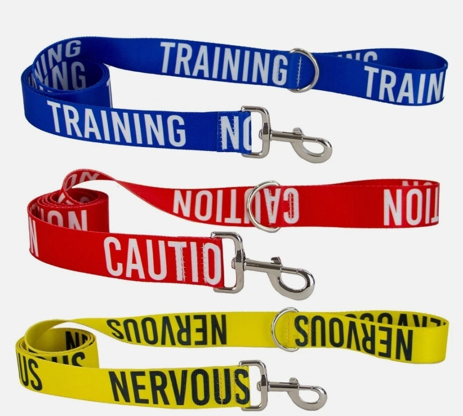 Ancol Awareness Leads