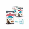 Royal Canin Urinary Pouches In Gravy (Box of 12)