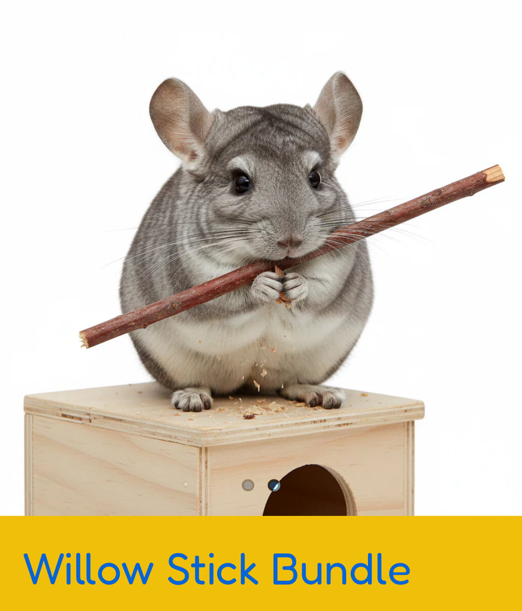 Willow Stick Bundle