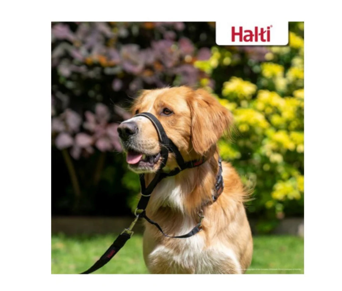 Halti Headcollar Black Size 4