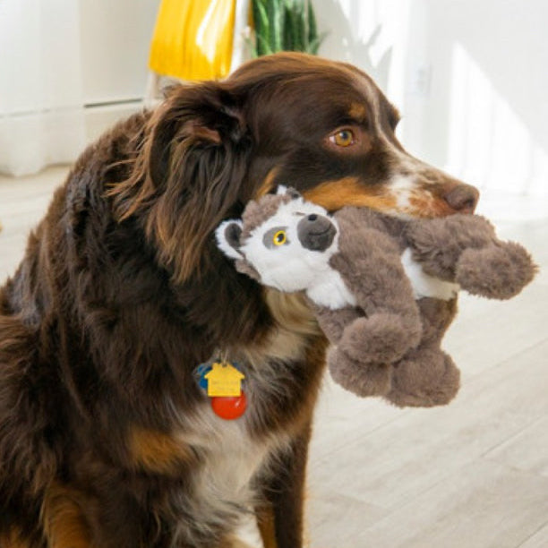 KONG Scampers Lemur
Medium