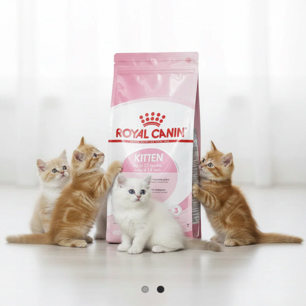 Royal canin dry kitten food 2kg