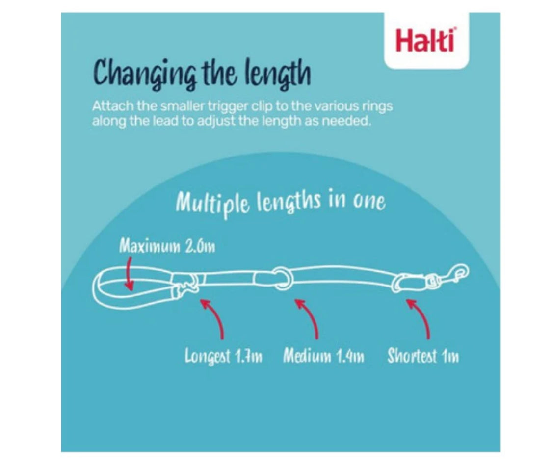Halti Black Training Lead Small