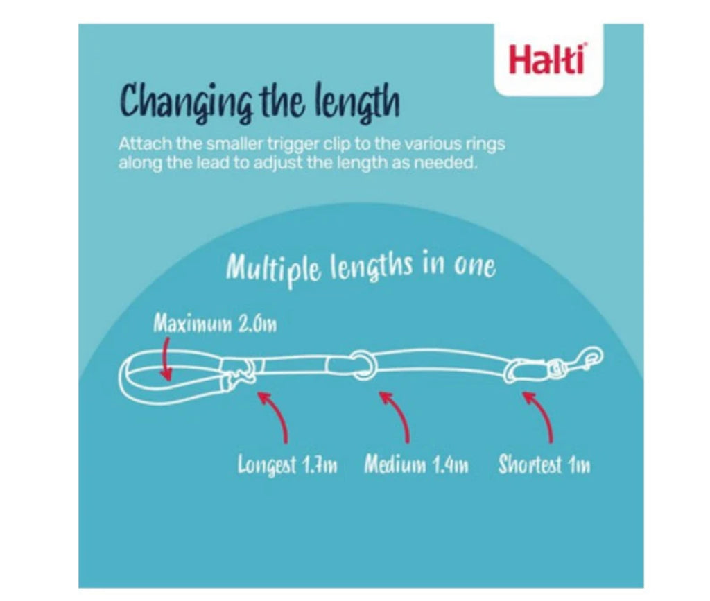 Halti Training Lead Red Large