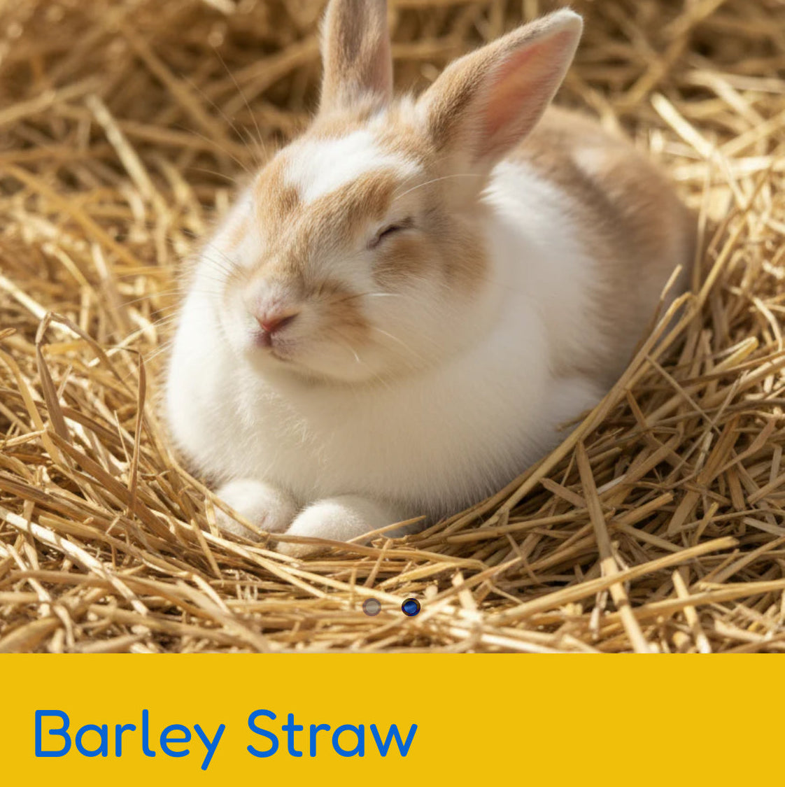 Barley Straw