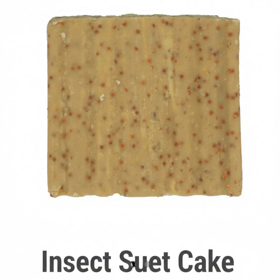 Insect suet cakes (single packet)