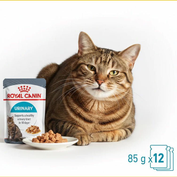 Royal Canin Urinary Pouches In Gravy (Box of 12)
