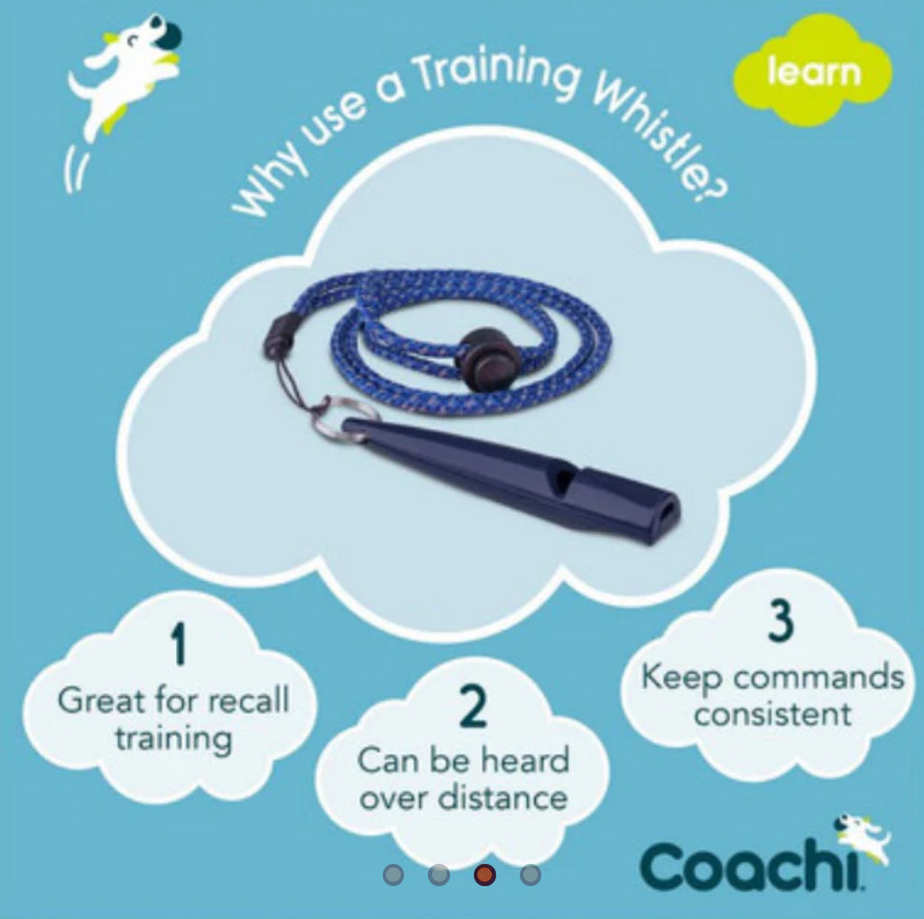Coachies 2 Tone Whistle