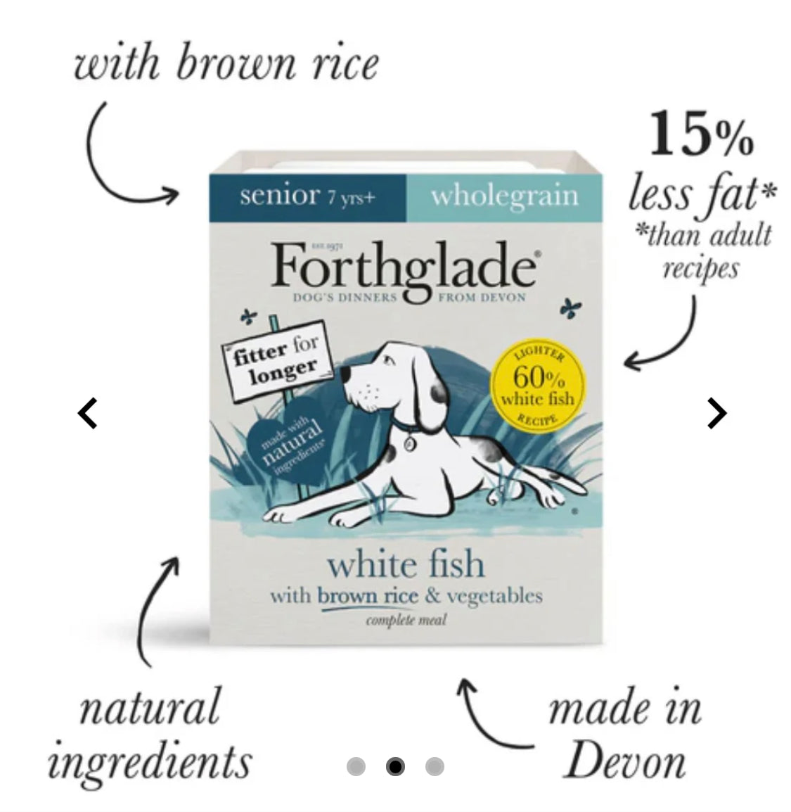 Forthglade senior white fish brown rice and vegetables wet food 395g