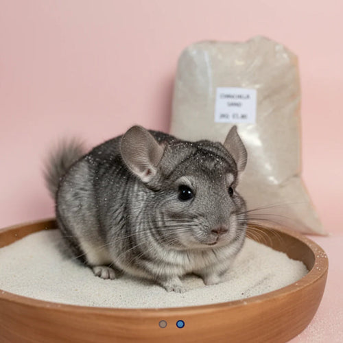 Chinchilla Sand 2kg