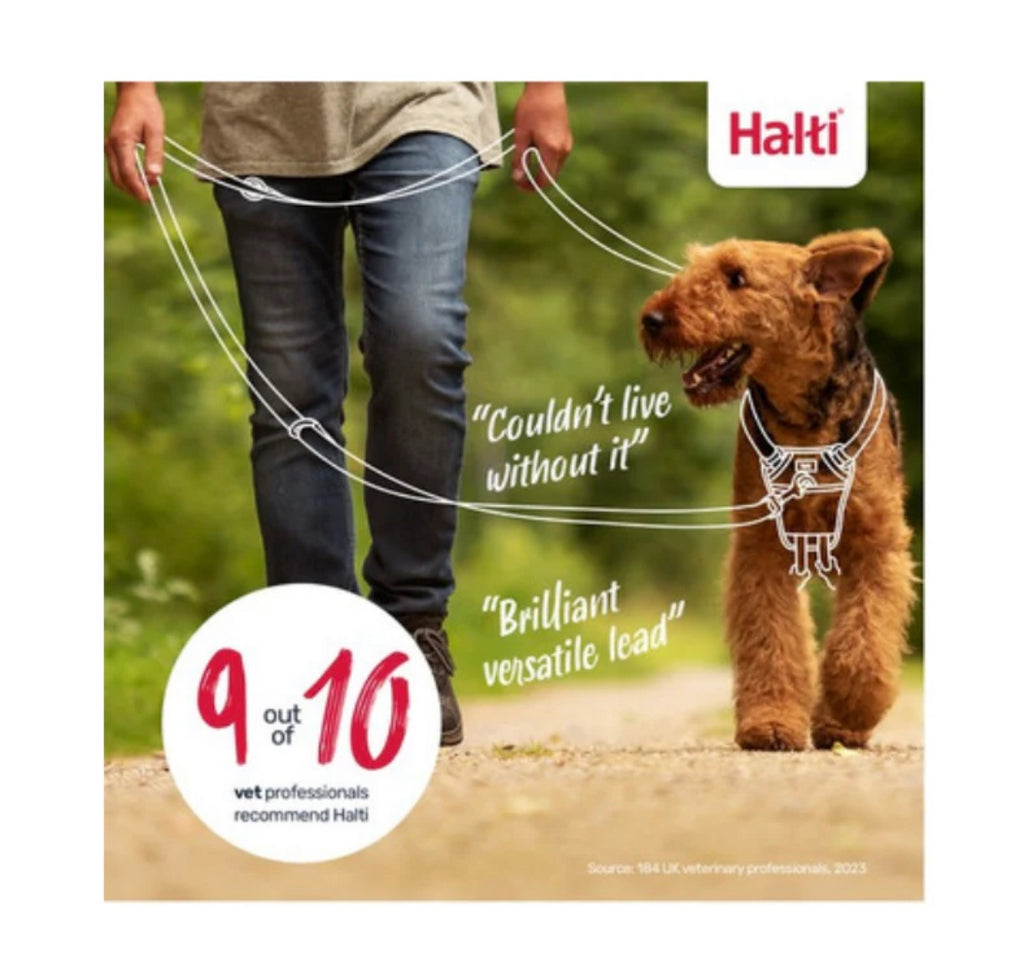 Halti Black Training Lead Large