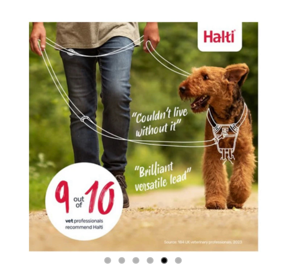 Halti Training Lead Red Large