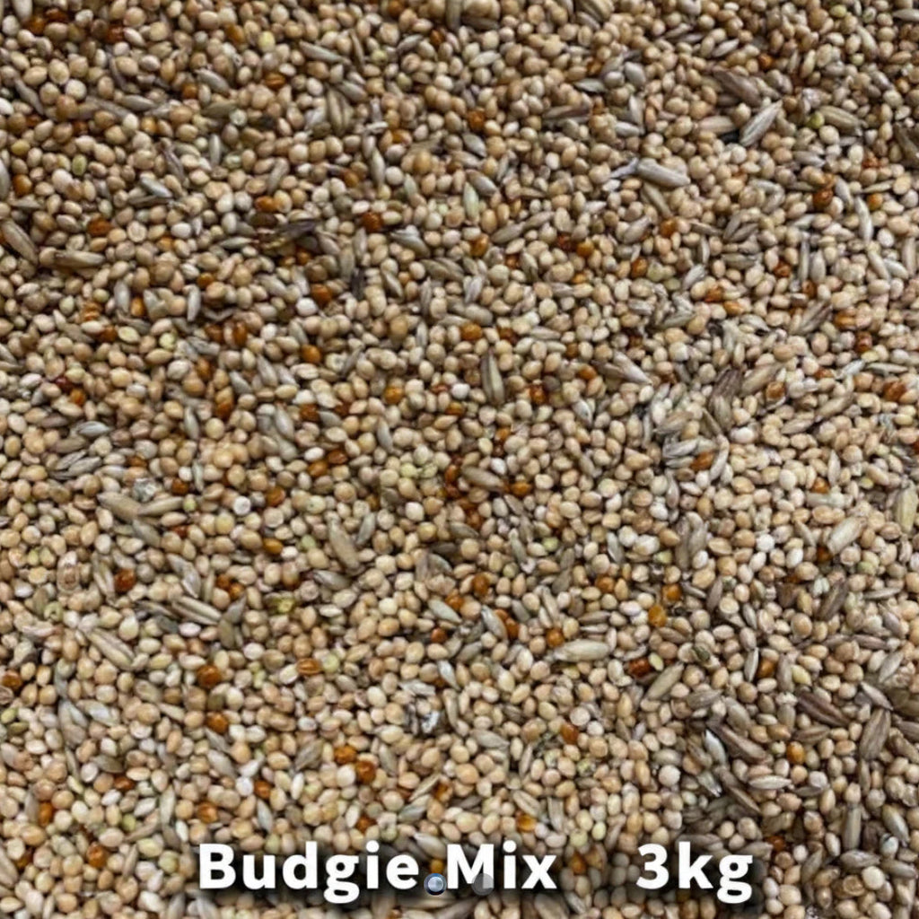 Budgie Mix 3kg