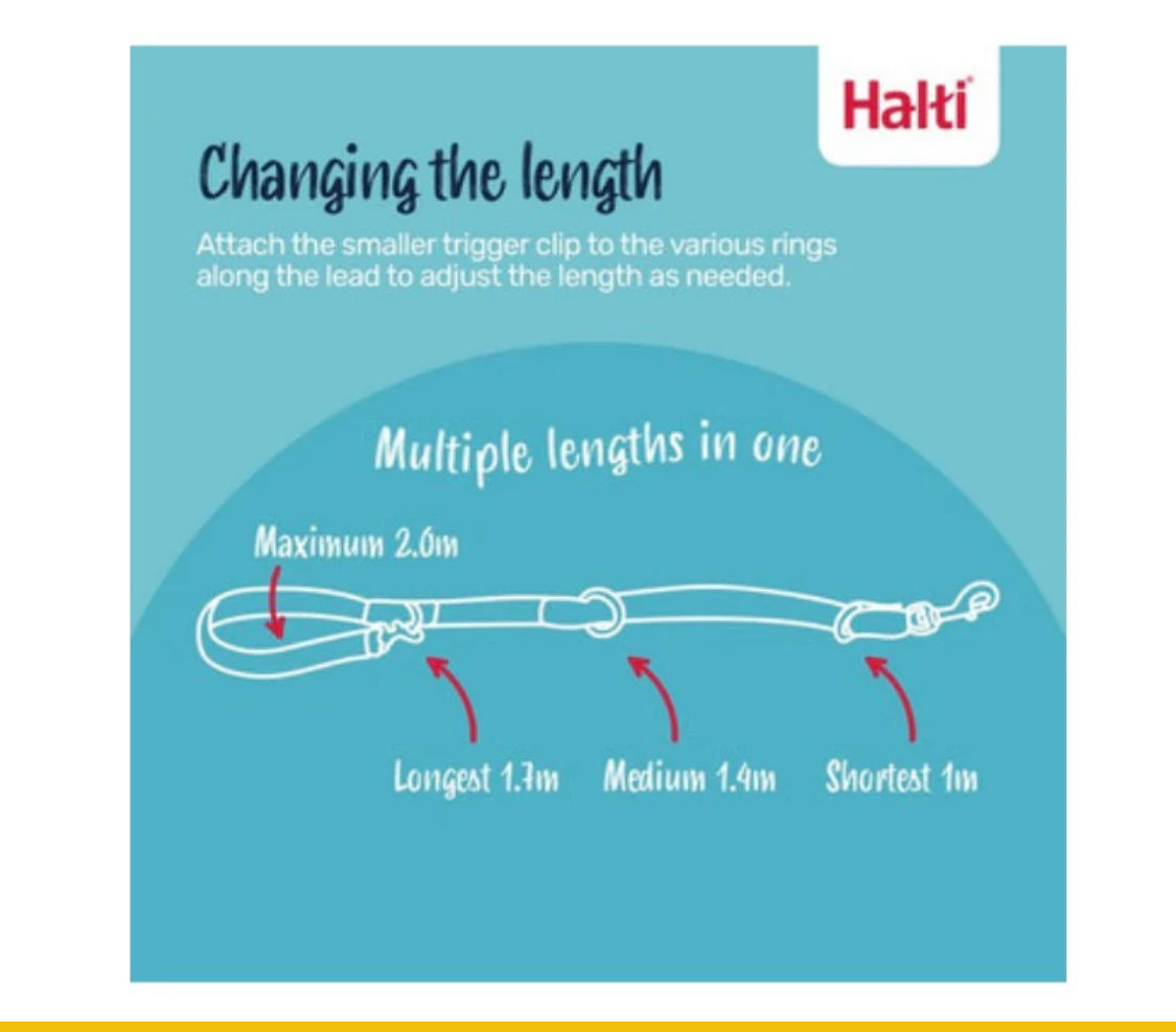 Halti Black Training Lead Large