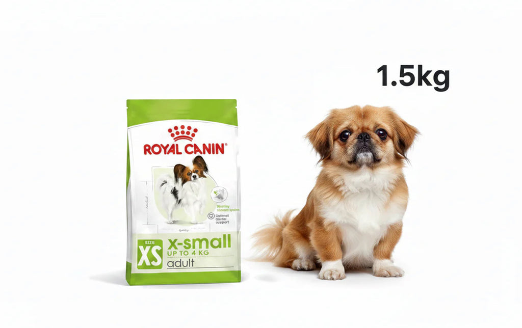 Royal Canin Xsmall Mini Adult 1.5kg