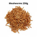 Mealworms 250g