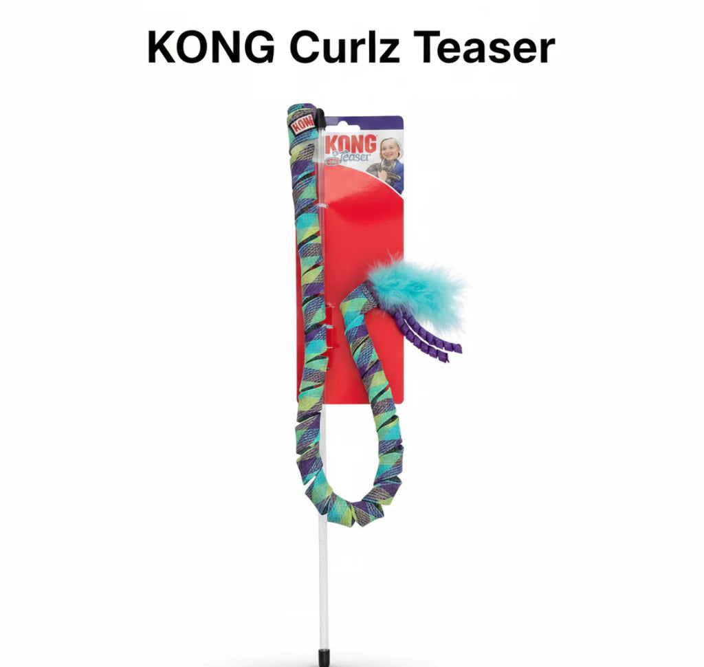 Kong Curlz Teaser