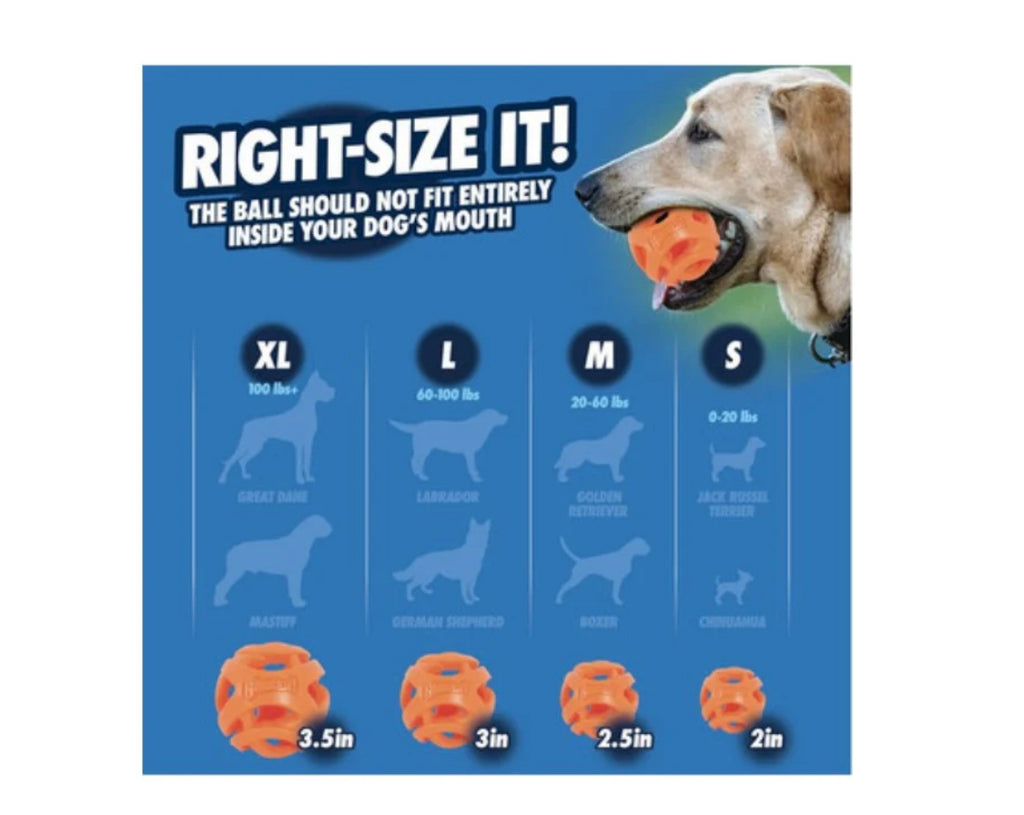 Chuckit air fetch medium 2pack