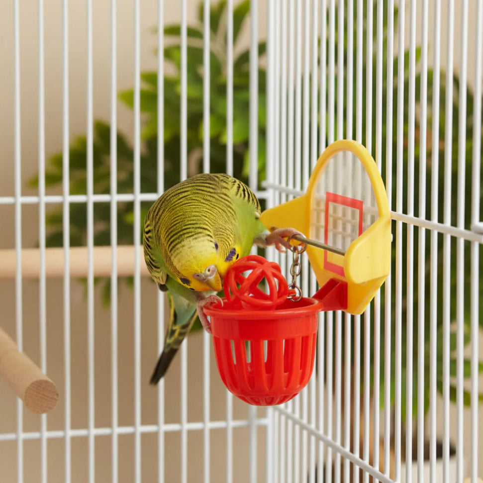 JW Budgie Basketball