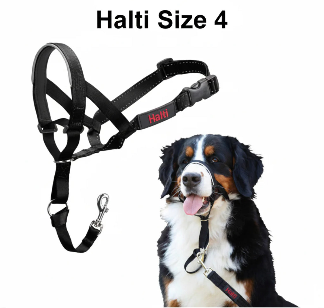 Halti Headcollar Black Size 4