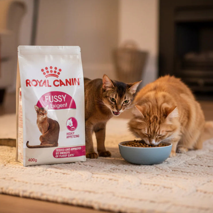 Royal canin fussy exigent 2kg