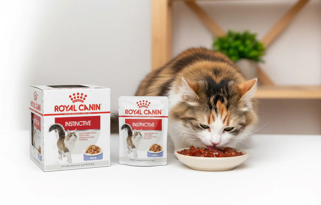 Royal Canin Instinctive In Jelly Pouches (Box of 12)