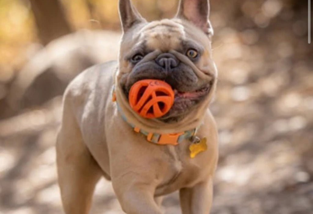 Chuckit air fetch medium 2pack