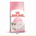 Royal canin dry kitten food 2kg