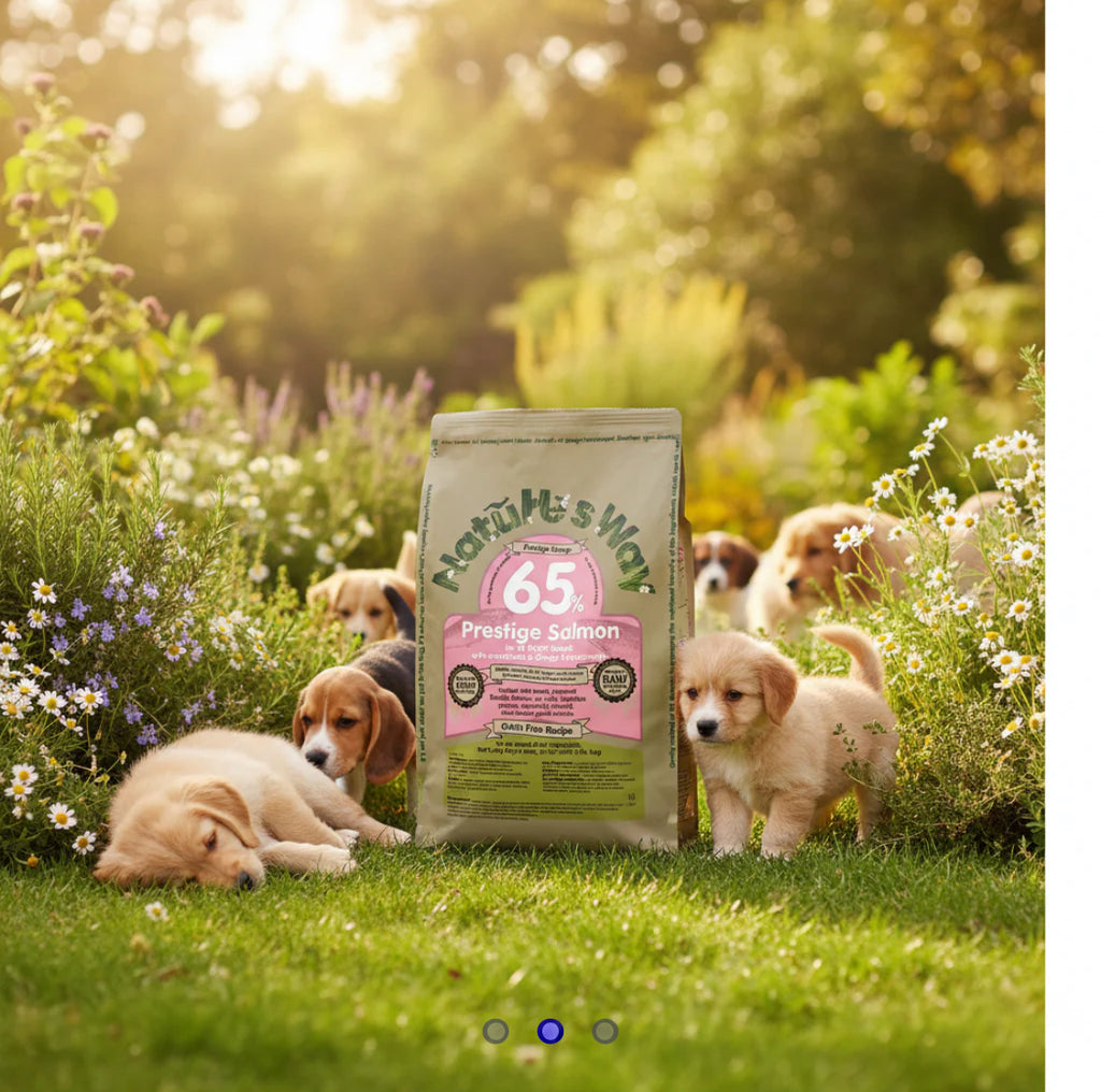 Naturesway prestige 65% salmon puppy and small breed 2kg
