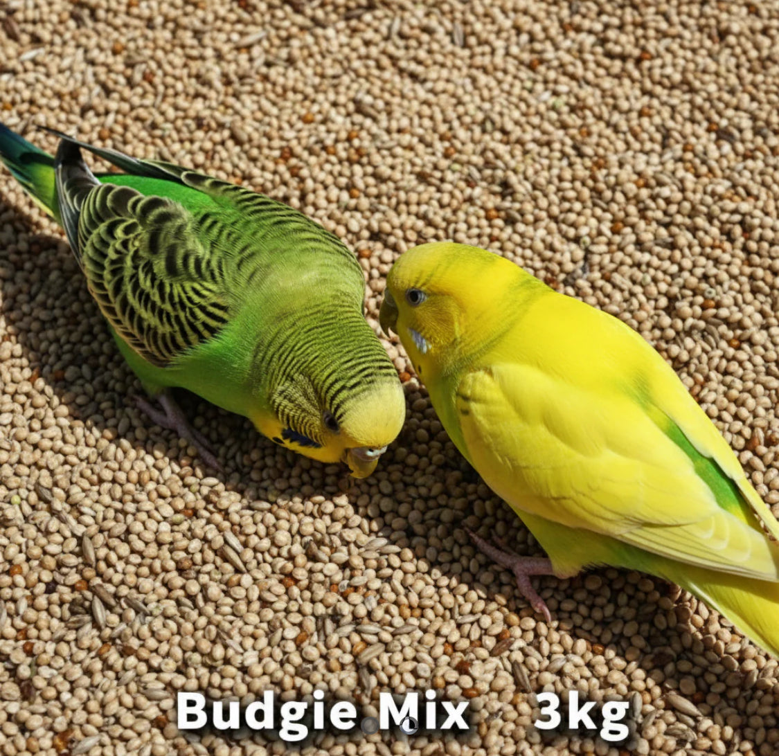 Budgie Mix 3kg