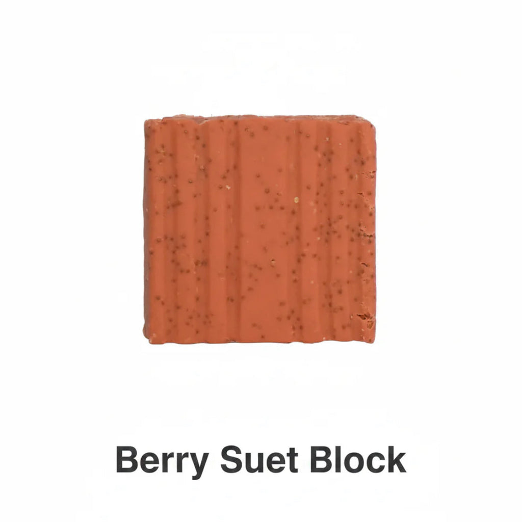 Berry suet cakes (single packet)