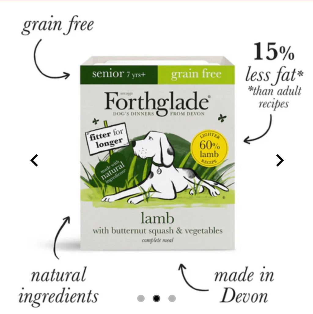 Forthglade Lamb senior with butternut squash and vegetables wet food 395g