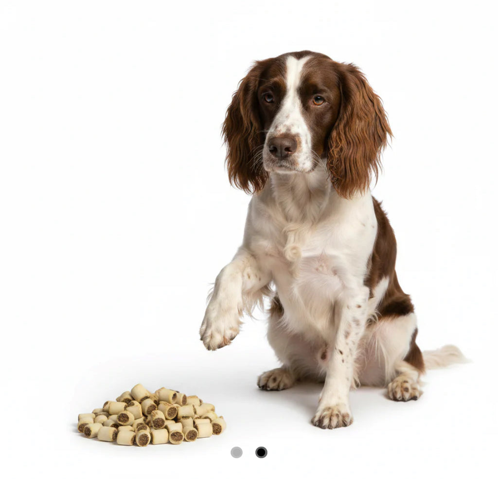 Pedigree Mini Markies 500g