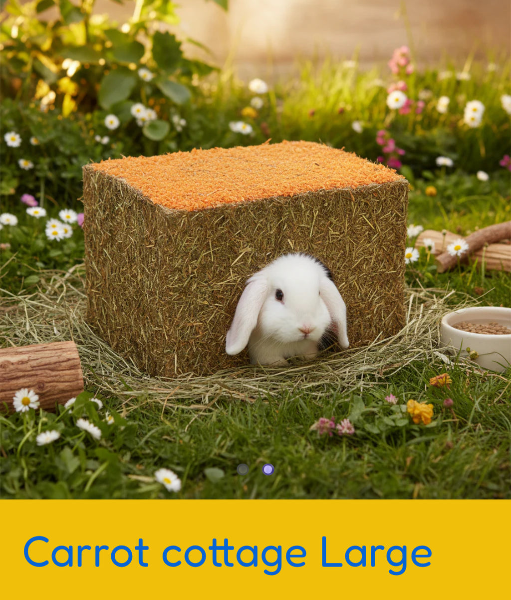 Carrot Cottage Large