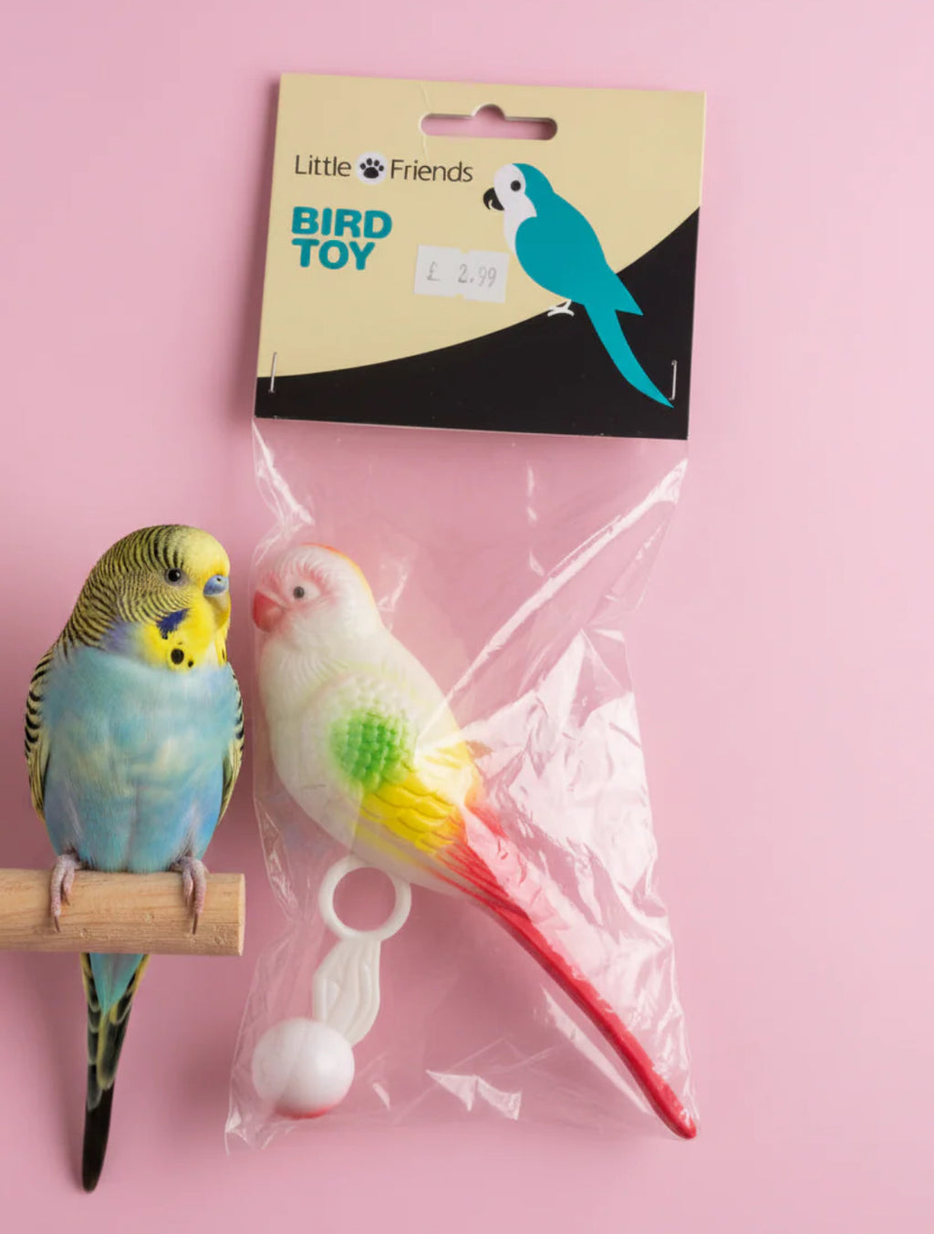 Plastic Budgie (weighted)
