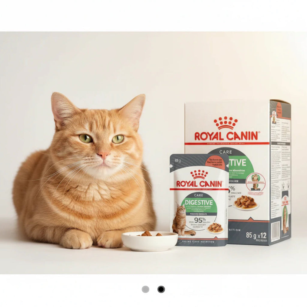 Royal Canin Digestive Pouches In Gravy (Box of 12)