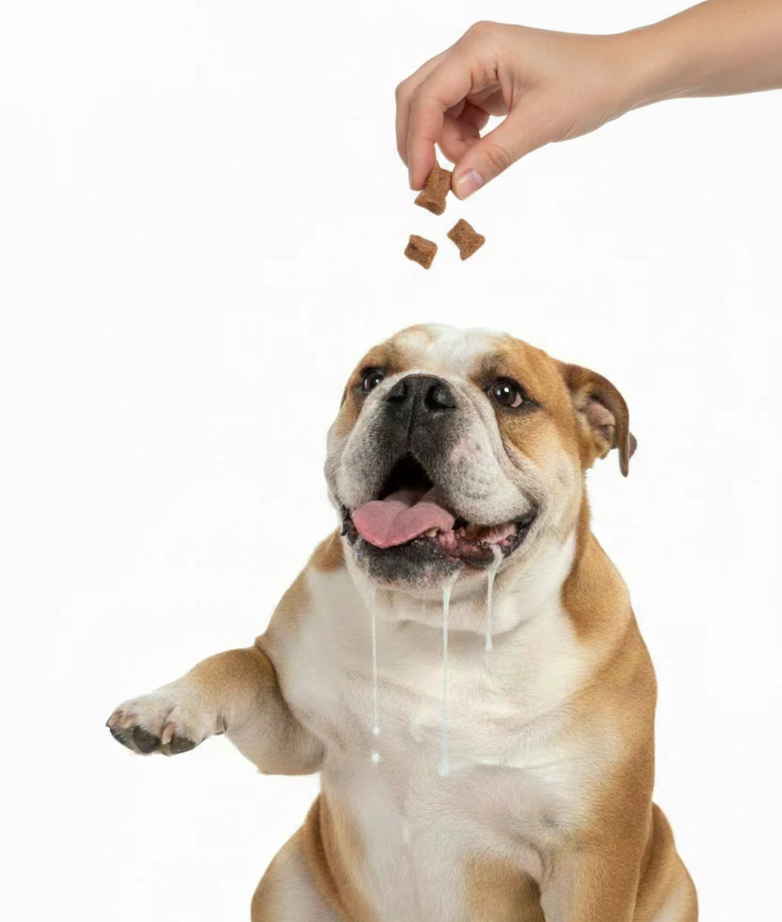 Natures Menu Beef & Pork Treats 50g