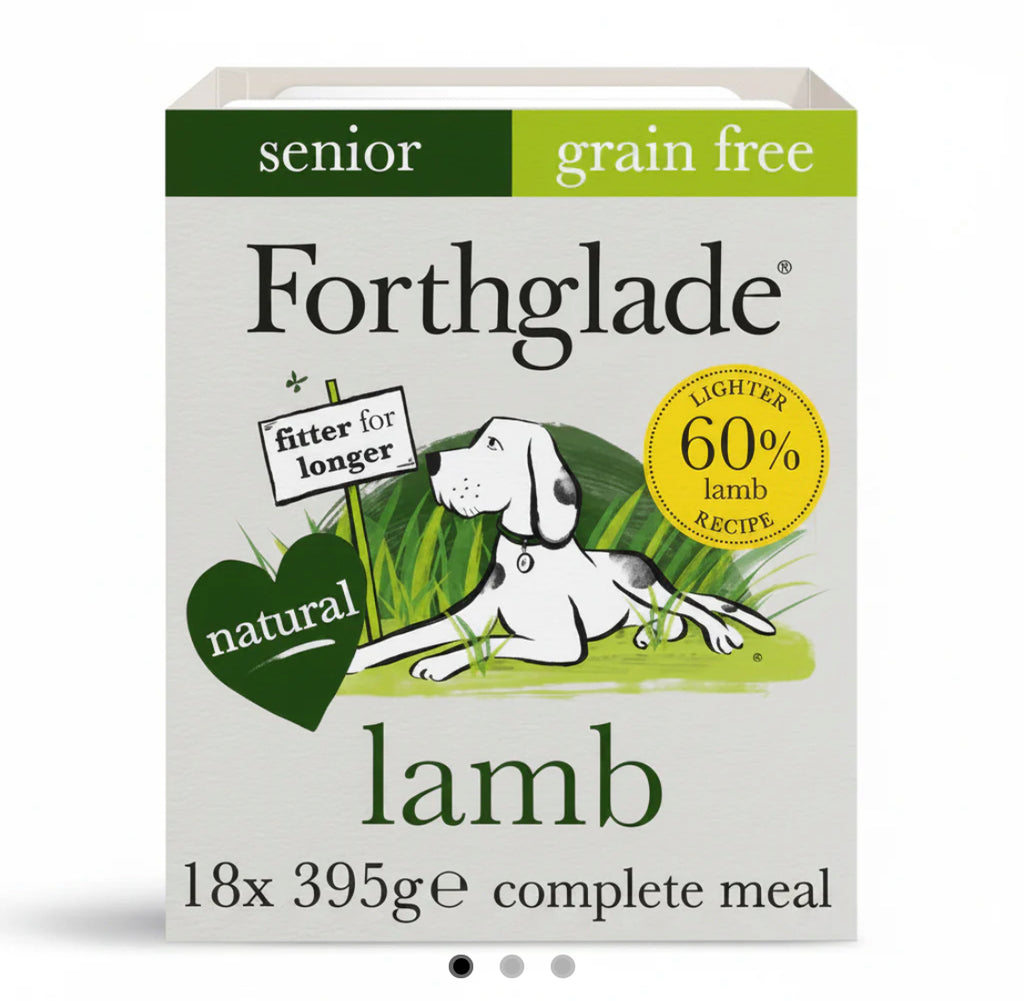 Forthglade Lamb senior with butternut squash and vegetables wet food 395g