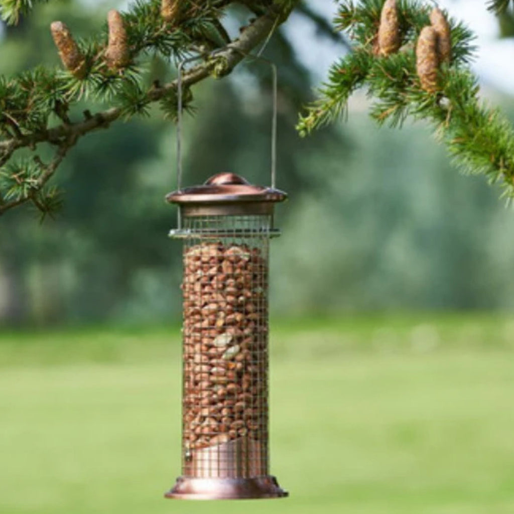 Walter Harrison Peanut Feeder 20cm