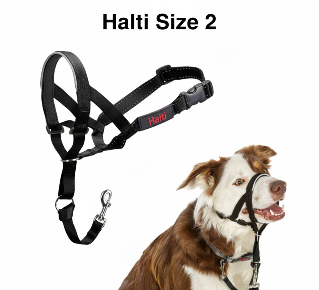 Halti Headcollar Black Size 2