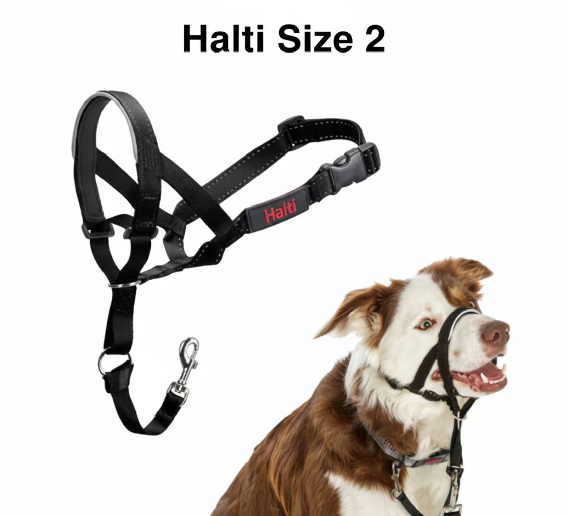 Halti Headcollar Black Size 2