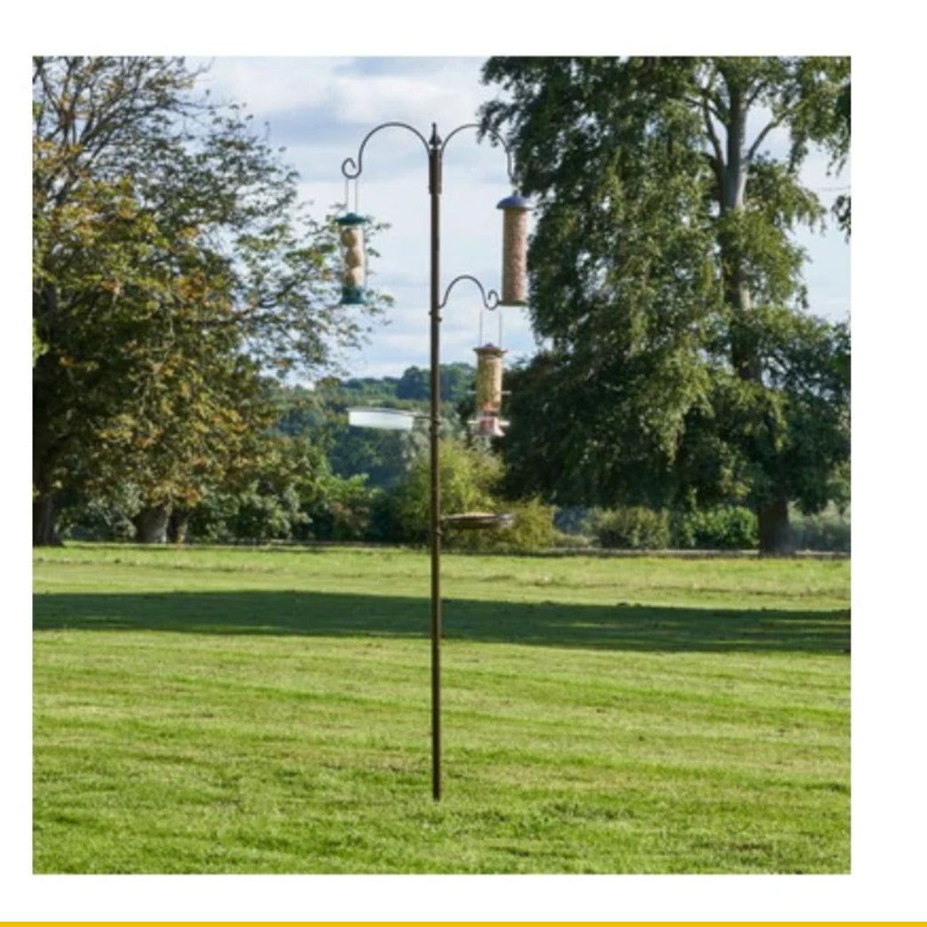 Wild Bird Feeding Station
