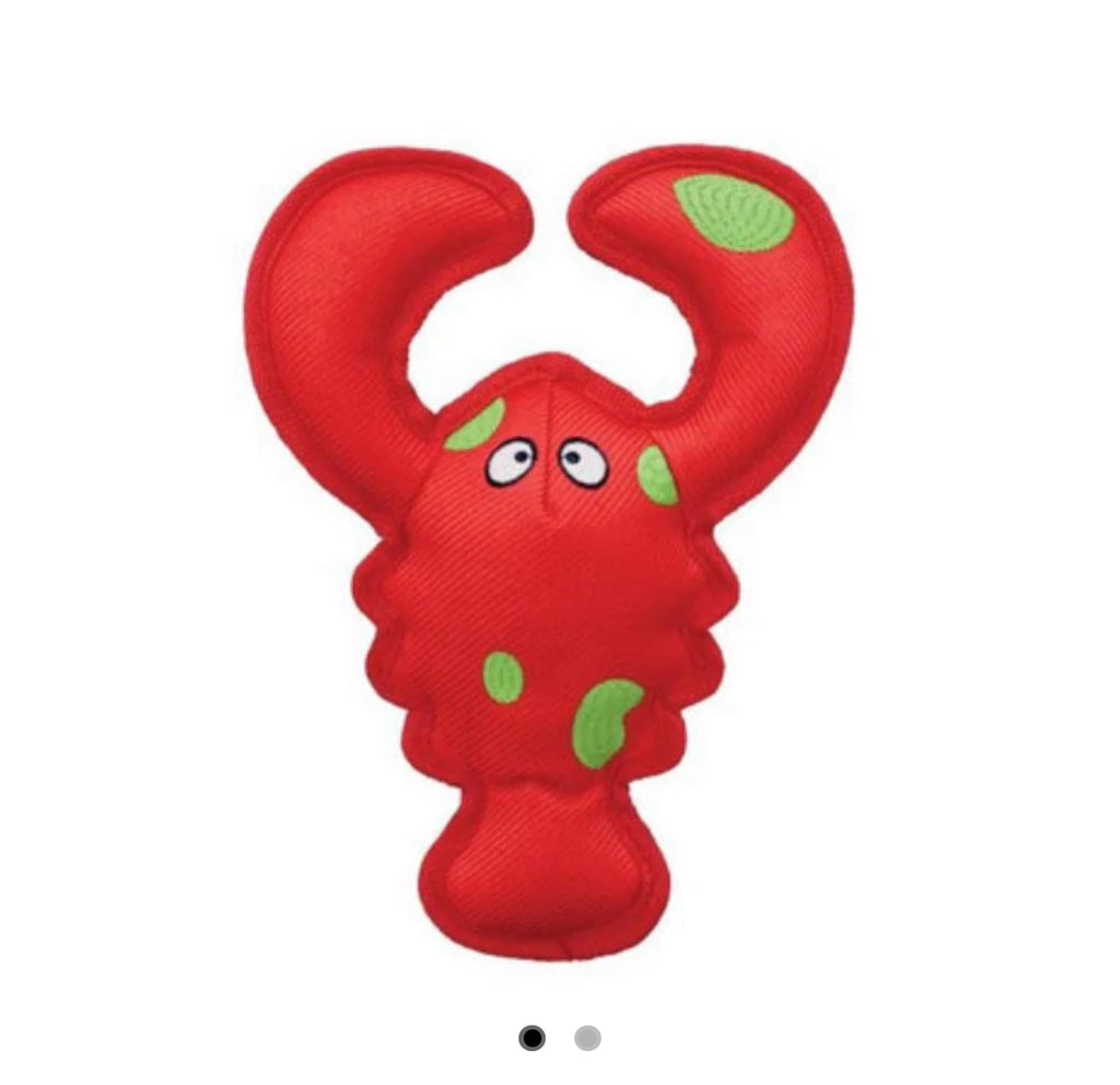 KONG Belly Flops Lobster
