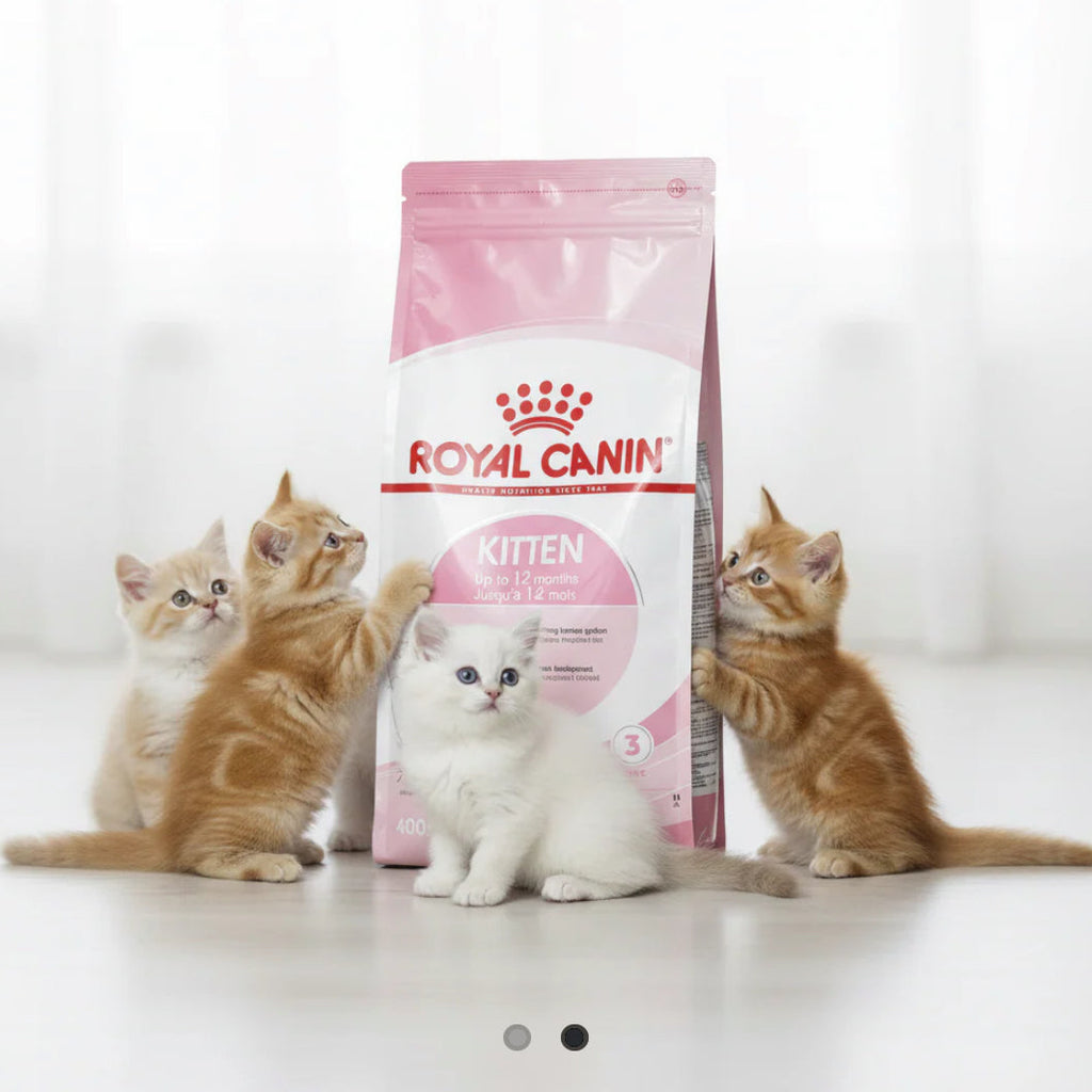 Royal canin dry kitten food 400g