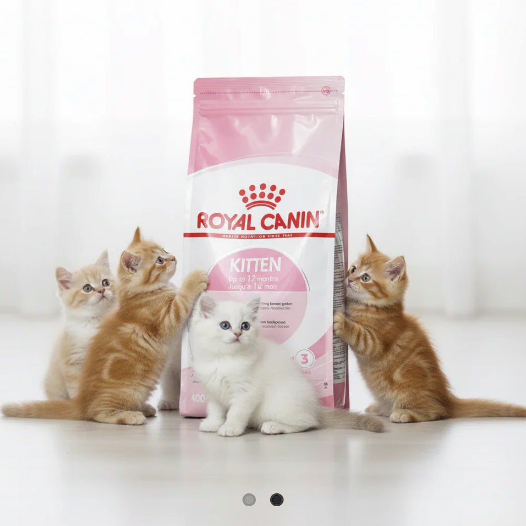 Royal canin dry kitten food 400g