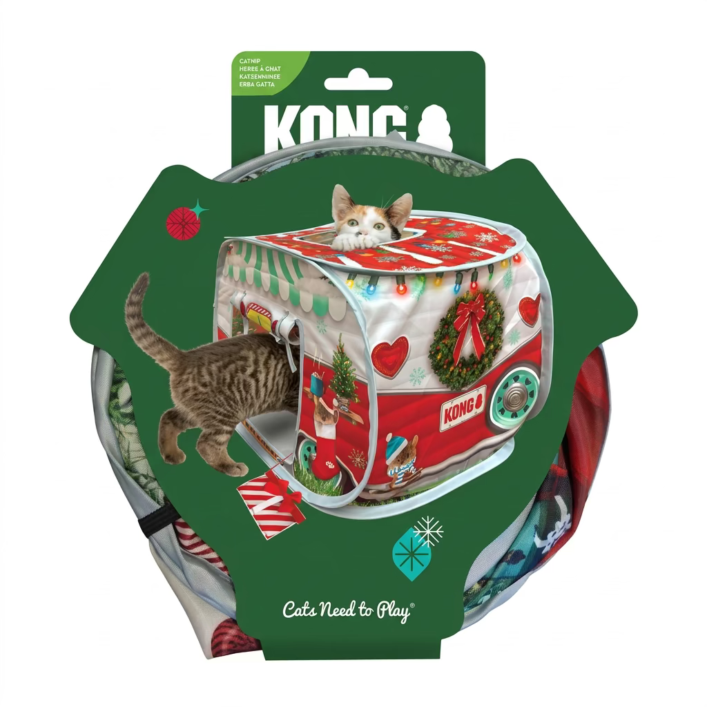 Kong Holiday play spaces Camper