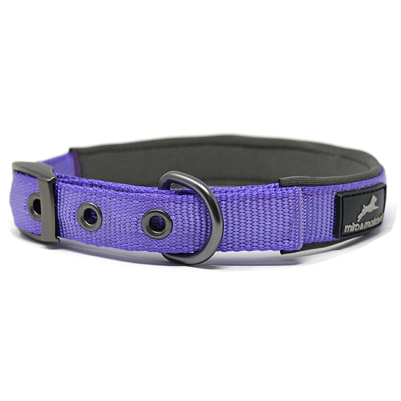 Makauri Oxbow Nylon Collar Purple