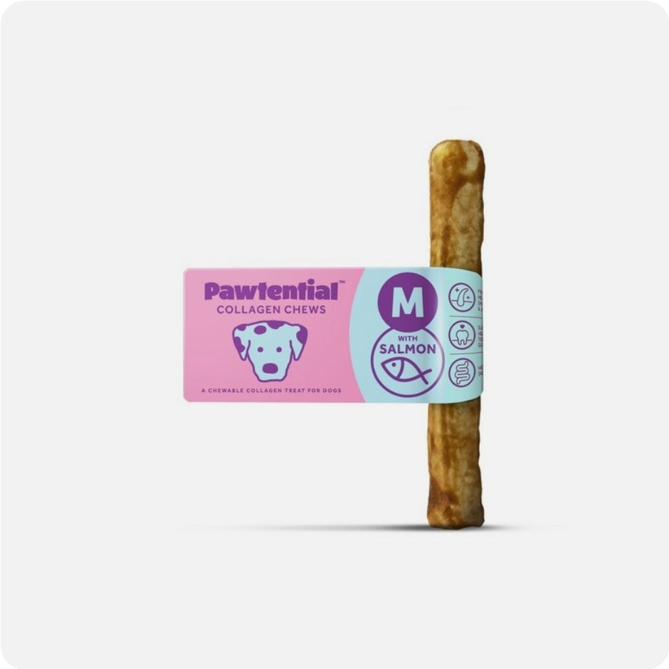 Pawtential Collagen Chew Salmon Flavour Medium 70g