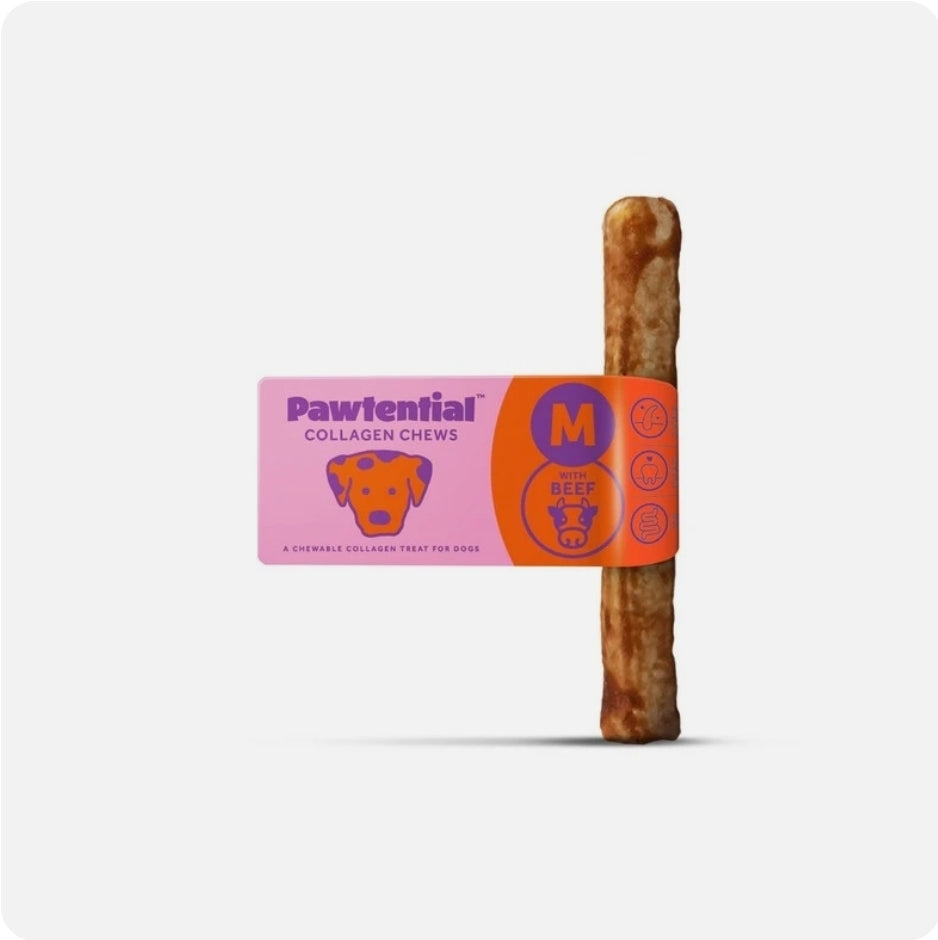 Pawtential Collagen Chew Beef Flavour Medium 70g