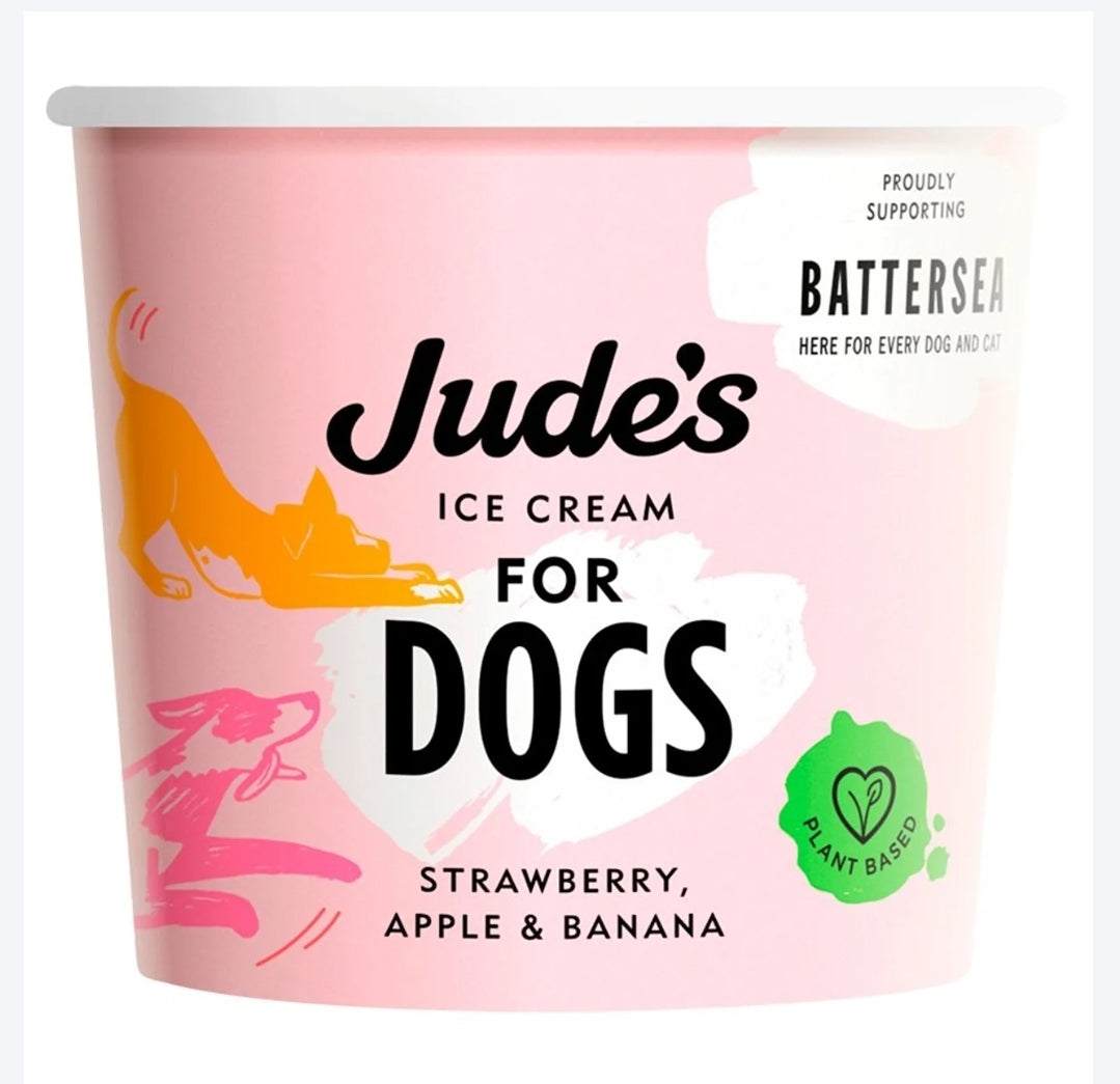 Jude's Ice Cream for Dogs